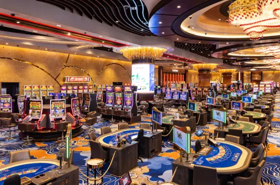 Which Live Casino Pays the Most_
